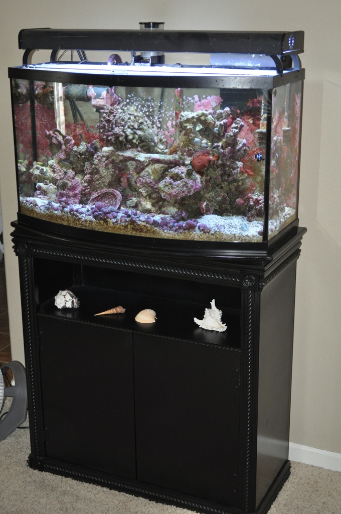 aquarium stands